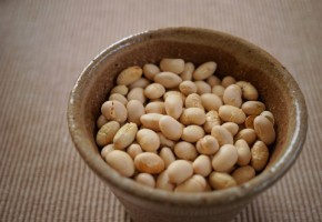 『大豆パワー』自宅で作れるオーガニック食品